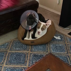 Meet your Posher, Ariana